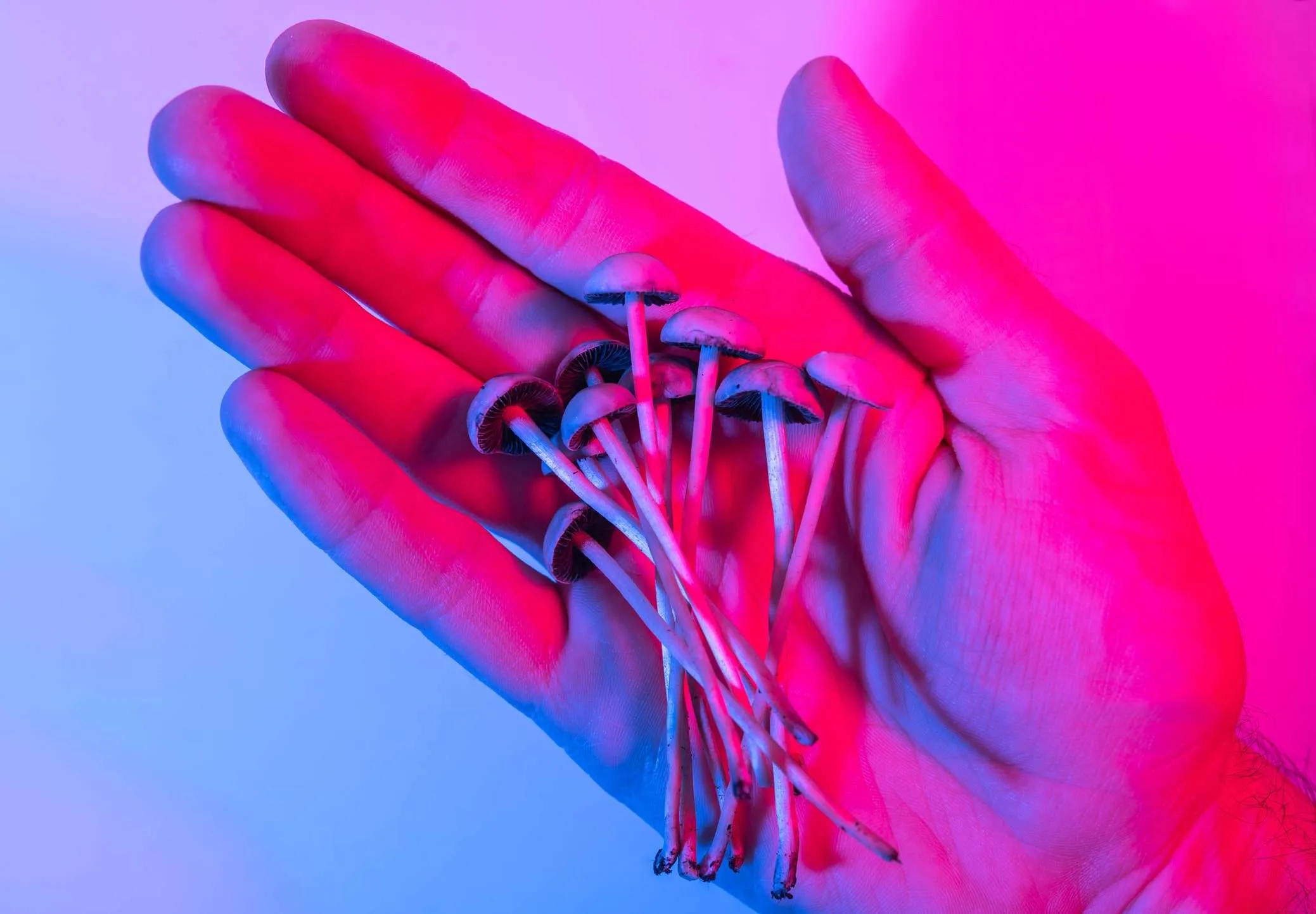 How Long Do Shrooms Stay in Your System?