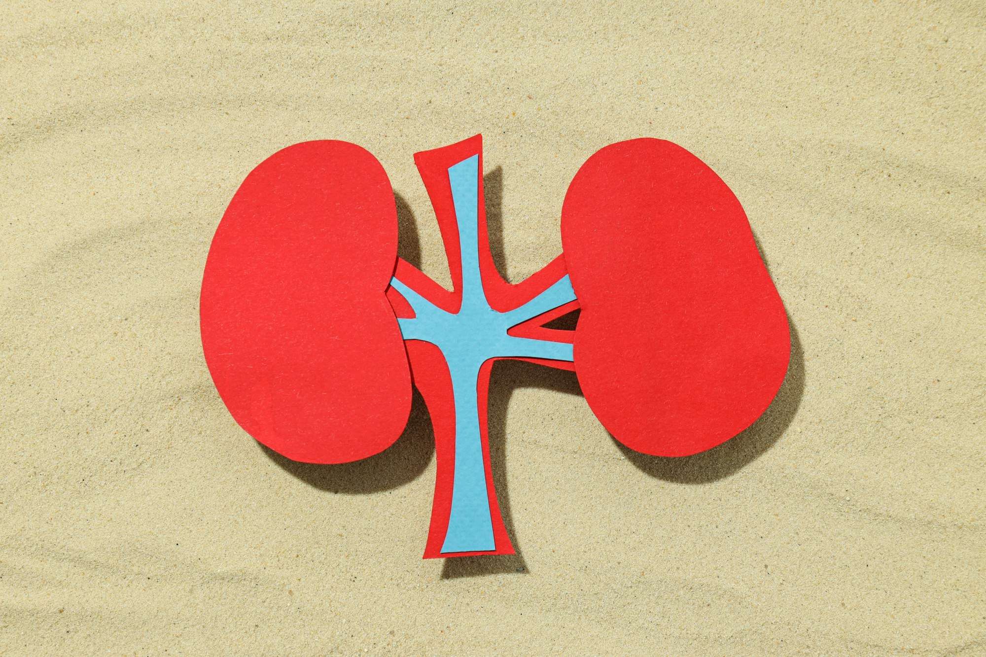 How Does Alcohol abuse lead to kidney damage?