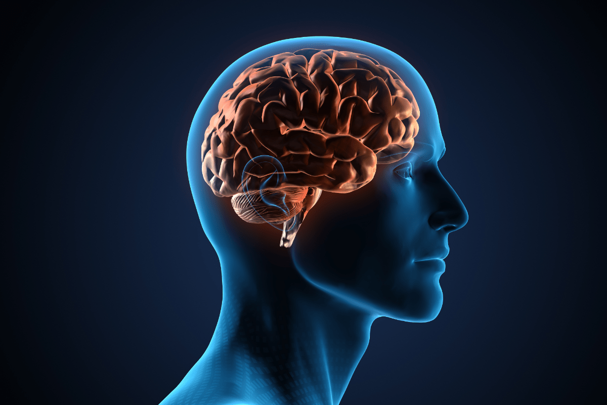 How Does Fentanyl Affect The Brain?