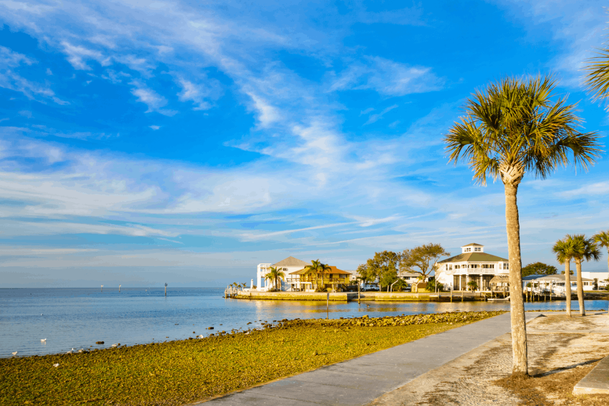 new port richey rehab